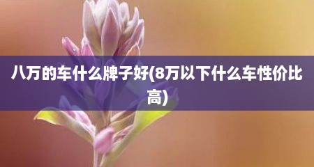 八万的车什么牌子好(8万以下什么车性价比高)