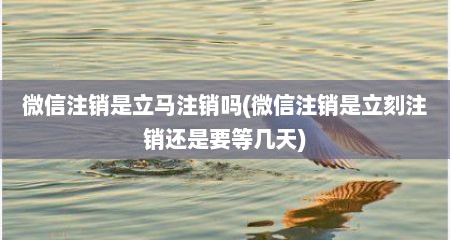 微信注销是立马注销吗(微信注销是立刻注销还是要等几天)