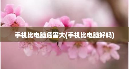 手机比电脑危害大(手机比电脑好吗)