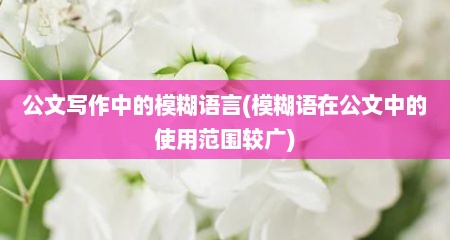 公文写作中的模糊语言(模糊语在公文中的使用范围较广)