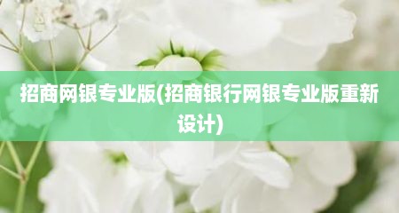 招商网银专业版(招商银行网银专业版重新设计)