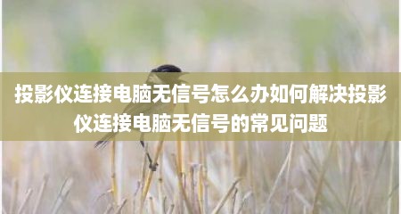 投影仪连接电脑无信号怎么办如何解决投影仪连接电脑无信号的常见问题