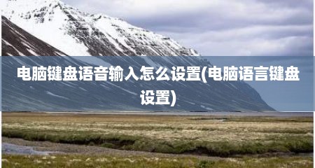 电脑键盘语音输入怎么设置(电脑语言键盘设置)