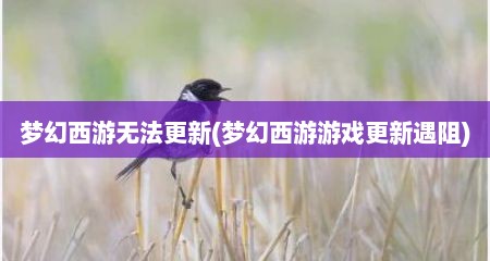 梦幻西游无法更新(梦幻西游游戏更新遇阻)