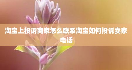 淘宝上投诉商家怎么联系淘宝如何投诉卖家电话