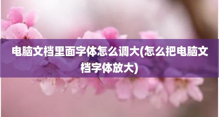 电脑文档里面字体怎么调大(怎么把电脑文档字体放大)