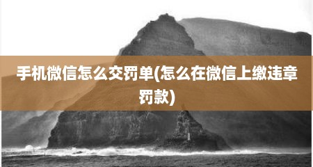 手机微信怎么交罚单(怎么在微信上缴违章罚款)