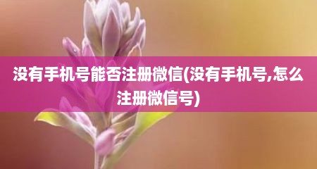 没有手机号能否注册微信(没有手机号,怎么注册微信号)