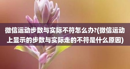 微信运动步数与实际不符怎么办?(微信运动上显示的步数与实际走的不符是什么原因)