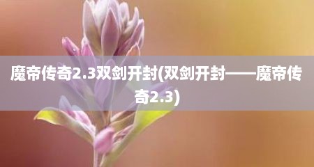 魔帝传奇2.3双剑开封(双剑开封——魔帝传奇2.3)