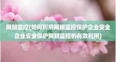 网眼监控(如何利用网眼监控保护企业安全企业安全保护网眼监控的有效利用)