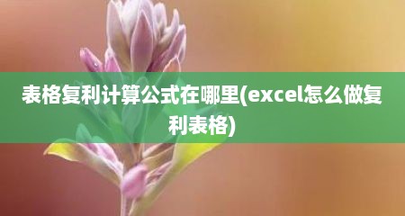 表格复利计算公式在哪里(excel怎么做复利表格)