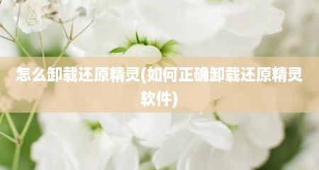 怎么卸载还原精灵(如何正确卸载还原精灵软件)