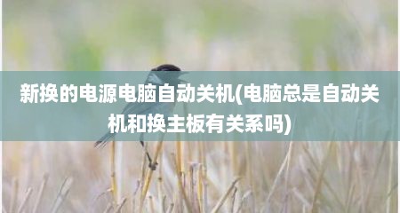 新换的电源电脑自动关机(电脑总是自动关机和换主板有关系吗)