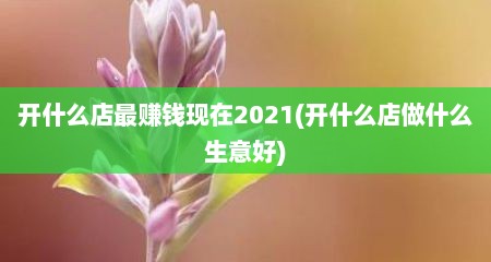 开什么店最赚钱现在2021(开什么店做什么生意好)