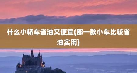 什么小轿车省油又便宜(那一款小车比较省油实用)