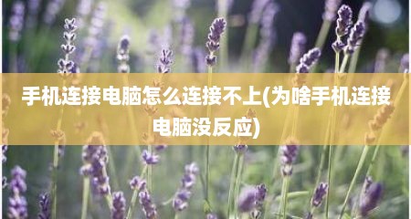 手机连接电脑怎么连接不上(为啥手机连接电脑没反应)