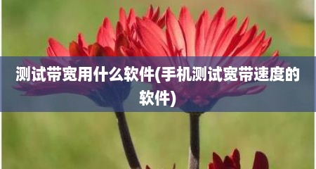 测试带宽用什么软件(手机测试宽带速度的软件)