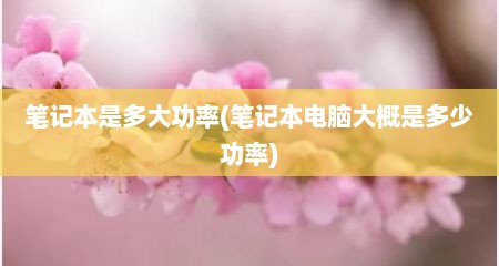 笔记本是多大功率(笔记本电脑大概是多少功率)