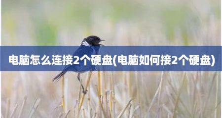 电脑怎么连接2个硬盘(电脑如何接2个硬盘)