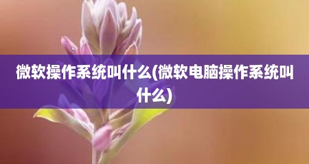 微软操作系统叫什么(微软电脑操作系统叫什么)