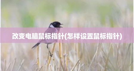 改变电脑鼠标指针(怎样设置鼠标指针)