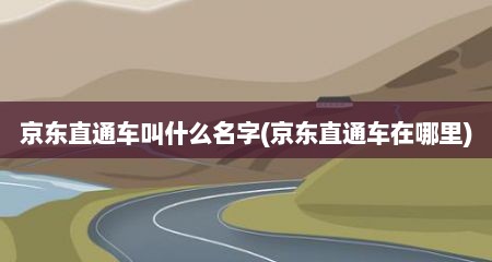 京东直通车叫什么名字(京东直通车在哪里)