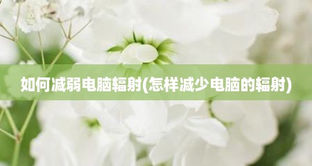 如何减弱电脑辐射(怎样减少电脑的辐射)