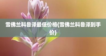 雪佛兰科鲁泽最低价格(雪佛兰科鲁泽到手价)