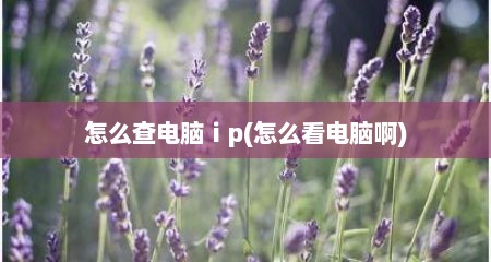 怎么查电脑ⅰp(怎么看电脑啊)