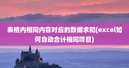 表格内相同内容对应的数据求和(excel如何自动合计相同项目)