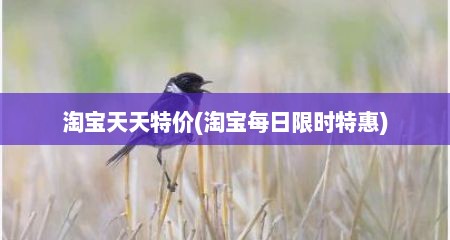 淘宝天天特价(淘宝每日限时特惠)