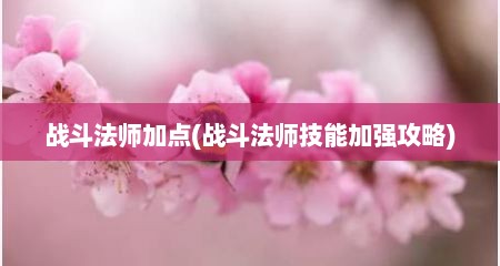 战斗法师加点(战斗法师技能加强攻略)