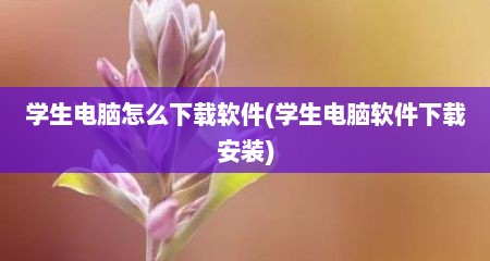 学生电脑怎么下载软件(学生电脑软件下载安装)