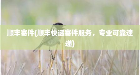 顺丰寄件(顺丰快递寄件服务，专业可靠速递)