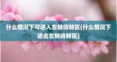 什么情况下可进入左转待转区(什么情况下进去左转待转区)