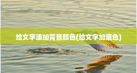 给文字添加背景颜色(给文字加底色)