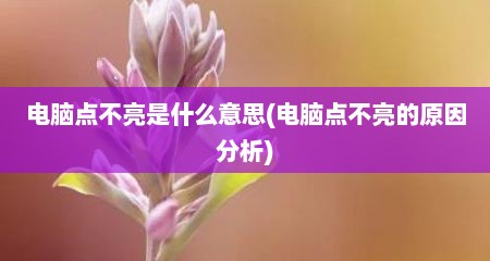 电脑点不亮是什么意思(电脑点不亮的原因分析)