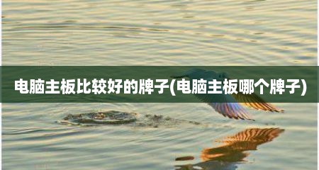 电脑主板比较好的牌子(电脑主板哪个牌子)