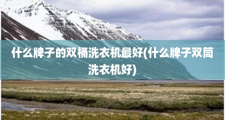 什么牌子的双桶洗衣机最好(什么牌子双筒洗衣机好)