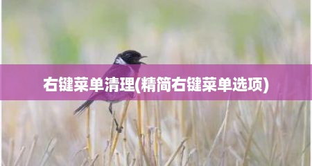 右键菜单清理(精简右键菜单选项)