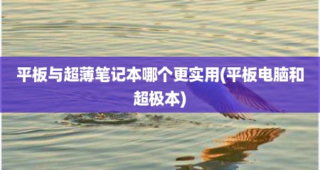 平板与超薄笔记本哪个更实用(平板电脑和超极本)