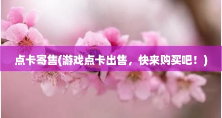 点卡寄售(游戏点卡出售，快来购买吧！)