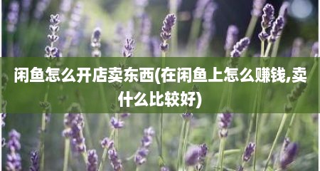 闲鱼怎么开店卖东西(在闲鱼上怎么赚钱,卖什么比较好)