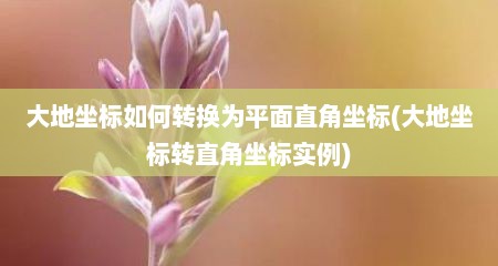 大地坐标如何转换为平面直角坐标(大地坐标转直角坐标实例)