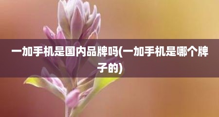 一加手机是国内品牌吗(一加手机是哪个牌子的)