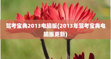 驾考宝典2013电脑版(2013年驾考宝典电脑版更新)