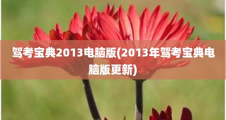 驾考宝典2013电脑版(2013年驾考宝典电脑版十分新)