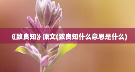 《致良知》原文(致良知什么意思是什么)