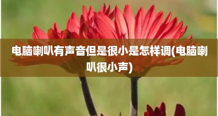 电脑喇叭有声音但是很小是怎样调(电脑喇叭很小声)